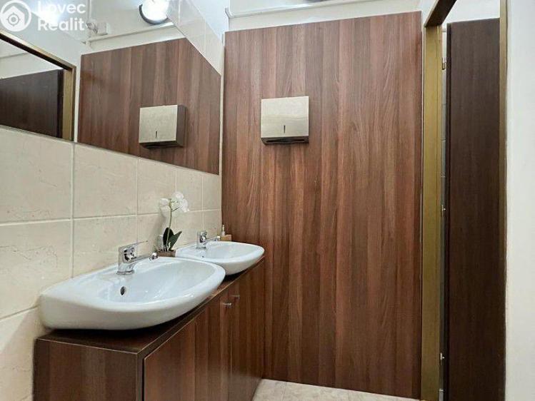 Rent restaurant Teplice, Masarykova třída 55/118 č. 13