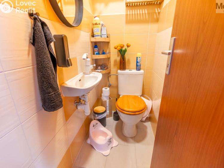 Продажа семейного дома Obříství, Povodňová 301 č. 10