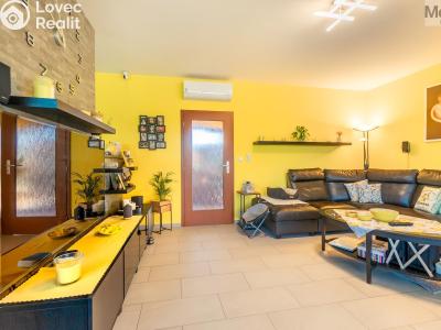 Sale family house Obříství, Povodňová 301 č. 4