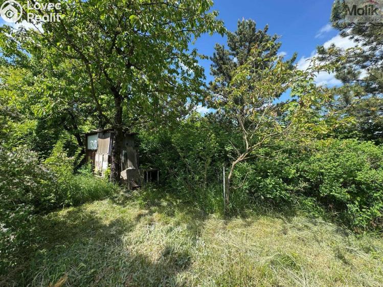 Продажа хижины Koštice č. 19