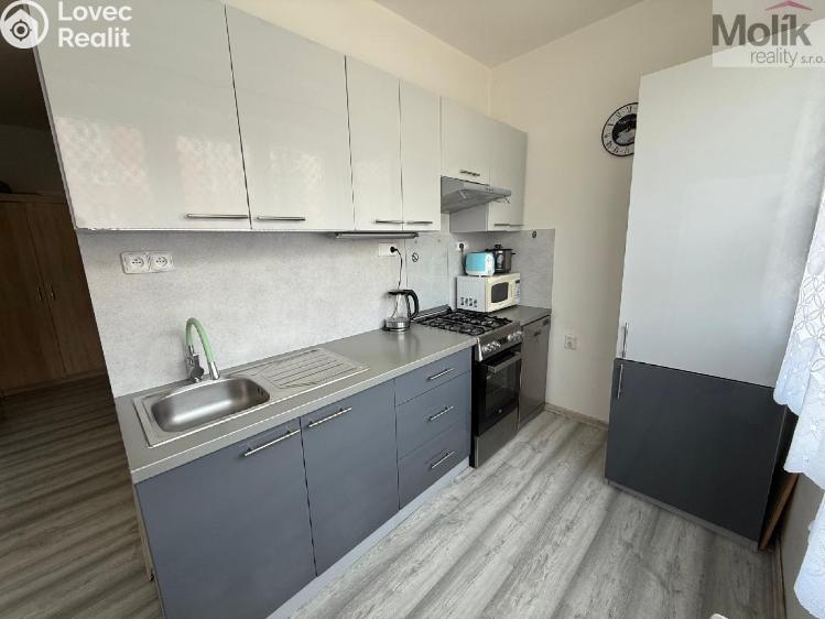 Prodej bytu 3+1 Bílina, M. Švabinského č. 1