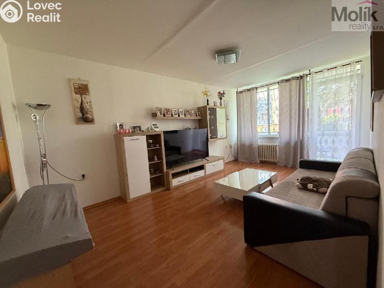 Prodej bytu 3+1 Bílina, M. Švabinského č. 4