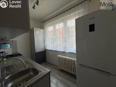 Prodej bytu 3+1 Bílina, M. Švabinského č. 3