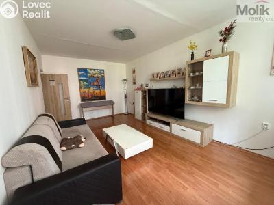 Prodej bytu 3+1 Bílina, M. Švabinského č. 6