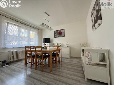 Продажа квартиры 3+1 Bílina, M. Švabinského č. 10