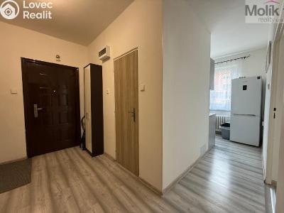 Продажа квартиры 3+1 Bílina, M. Švabinského č. 12