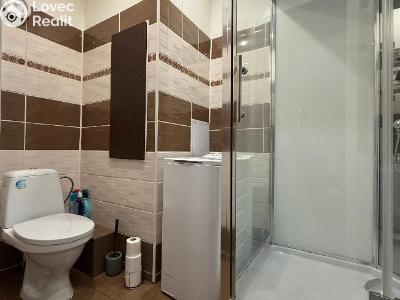 Продажа квартиры 3+1 Bílina, M. Švabinského č. 15