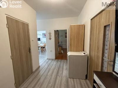 Продажа квартиры 3+1 Bílina, M. Švabinského č. 16