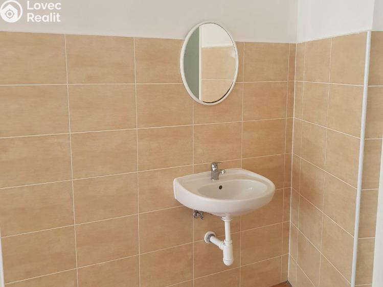 Pronájem komerční nemovitosti Korozluky č. 29