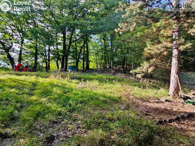 Продажа хижины Ústí nad Labem, Pod Ostrým č. 15