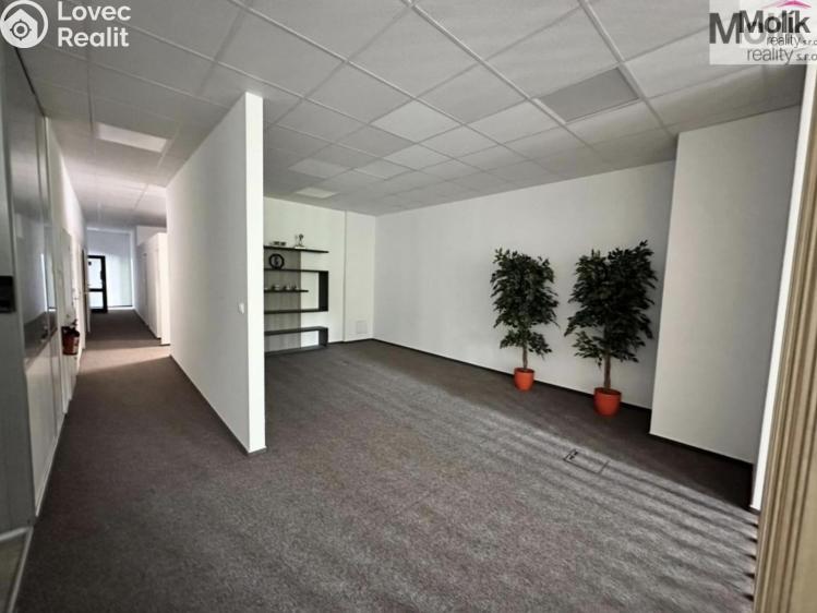 Rent warehouse Chomutov, Pražská č. 23