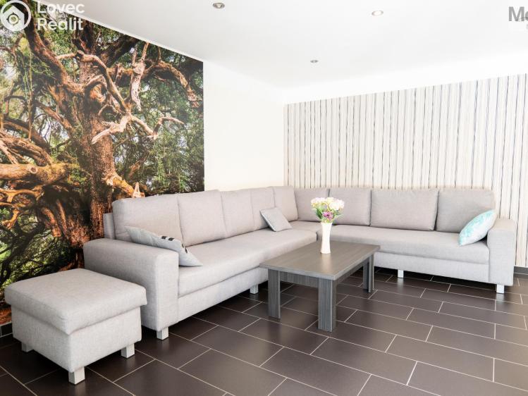 Продажа семейного дома Skršín č. 2