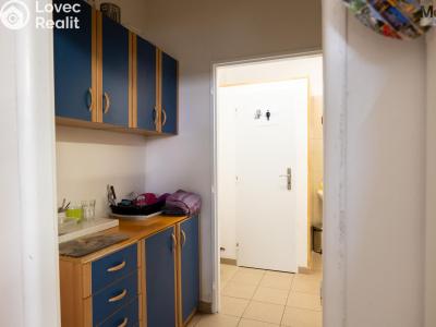 Продаж офісного приміщення Skršín č. 20