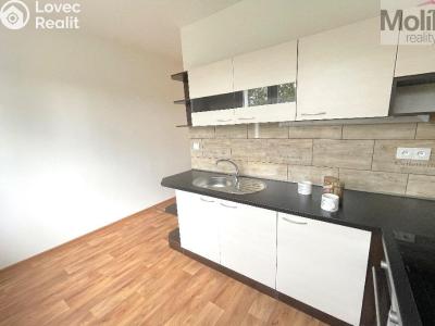 Rent apartment 2+1 Bílina, Sídliště U Nového nádraží č. 6