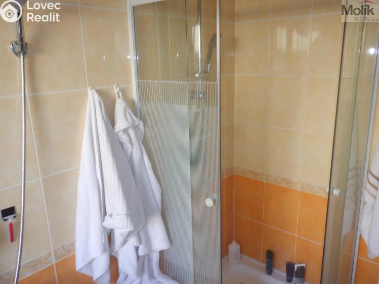 Продажа семейного дома Nezabylice č. 22