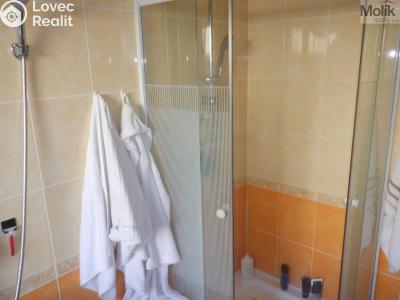 Продаж сімейного будинку Nezabylice č. 22