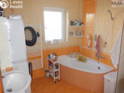 Продаж сімейного будинку Nezabylice č. 23