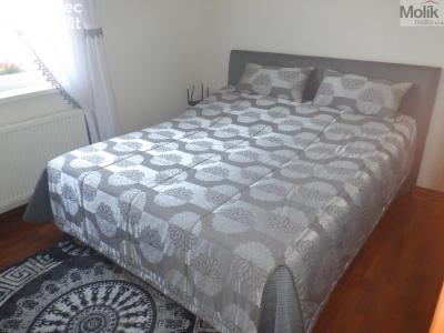 Продаж сімейного будинку Nezabylice č. 25