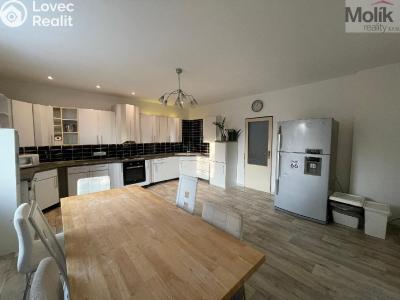 Sale family house Klíny č. 3