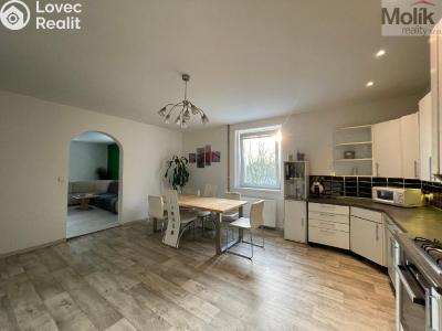 Sale family house Klíny č. 4