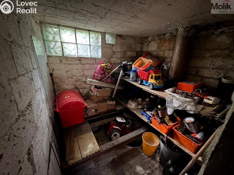 Sale hut Litvínov č. 17