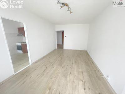 Prodej bytu 3+1 Litvínov, Hamerská č. 6