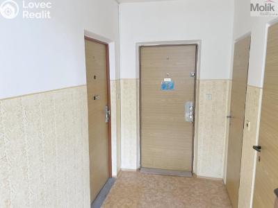 Продажа квартиры 3+1 Litvínov, Hamerská č. 23