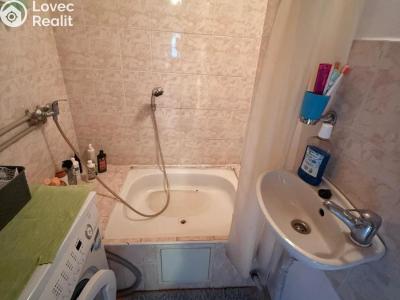 Sale hut Křesín č. 3