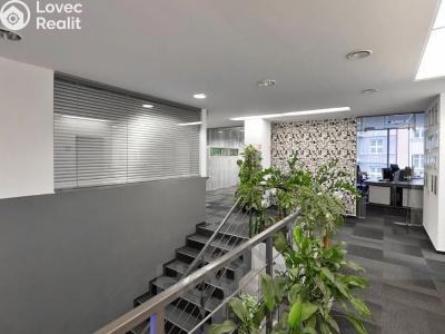 Prodej kanceláře Praha, Pod pramenem č. 5