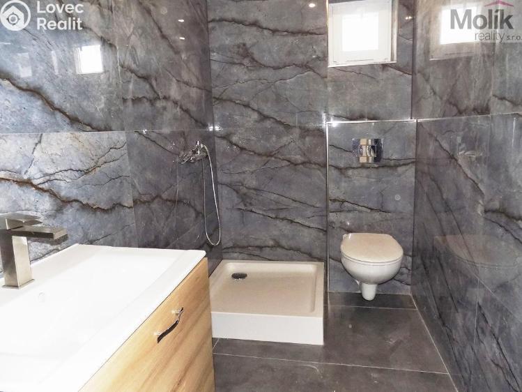 Sale family house Teplice, 5. května č. 4