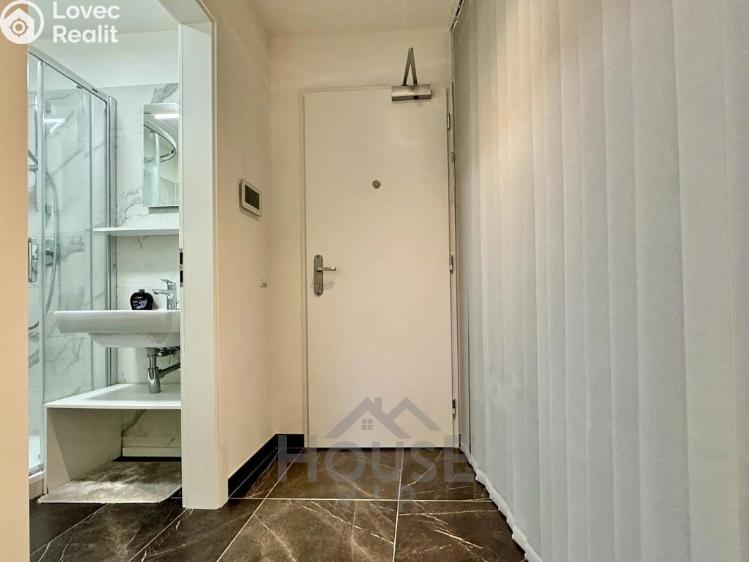 Pronájem bytu 1+KK Praha, Tyršova č. 7