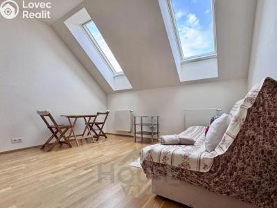 Pronájem bytu 1+KK Praha, Tyršova č. 3