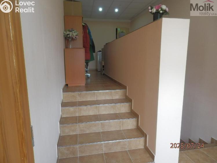 Prodej komerční nemovitosti Vysoká Pec č. 11