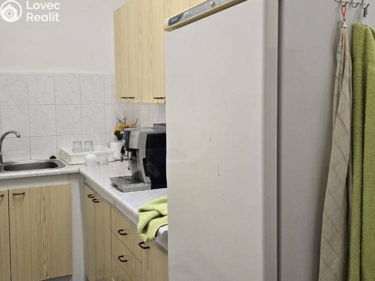 Rent commercial space Bílina, Náměstí 4/2 č. 15