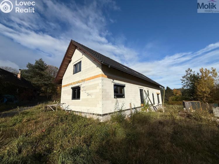 Sale family house Nové Mitrovice č. 1