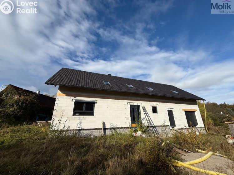 Sale family house Nové Mitrovice č. 2