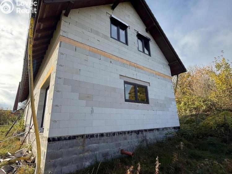 Sale family house Nové Mitrovice č. 4