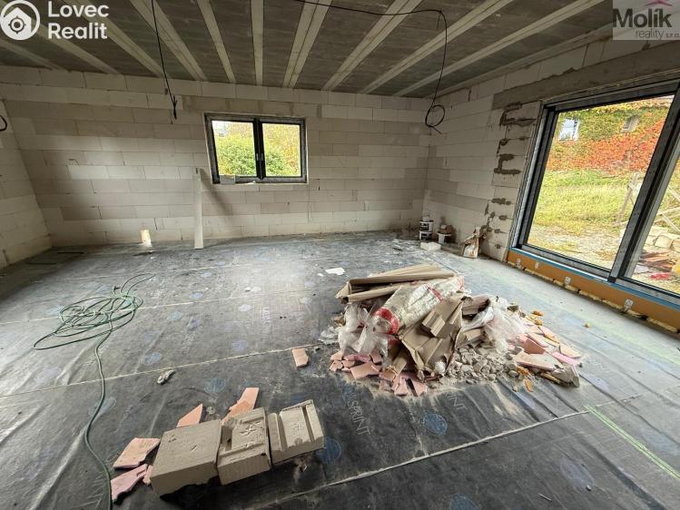 Sale family house Nové Mitrovice č. 7