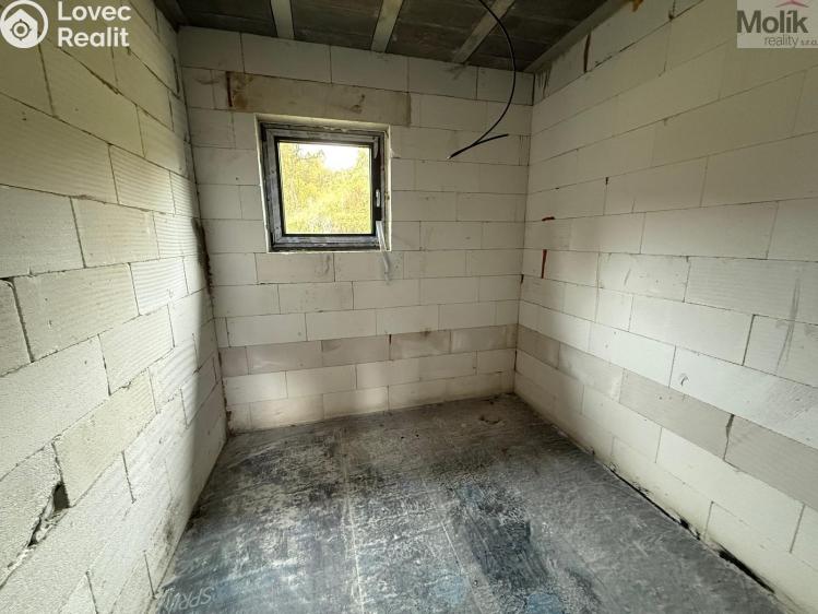 Sale family house Nové Mitrovice č. 13