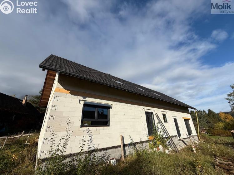 Sale family house Nové Mitrovice č. 26