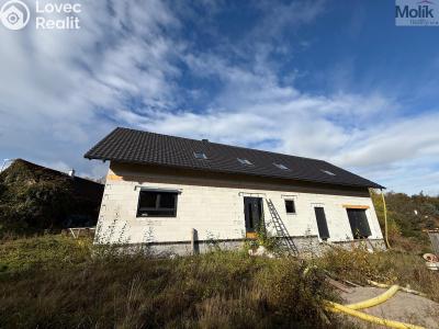 Sale family house Nové Mitrovice č. 2