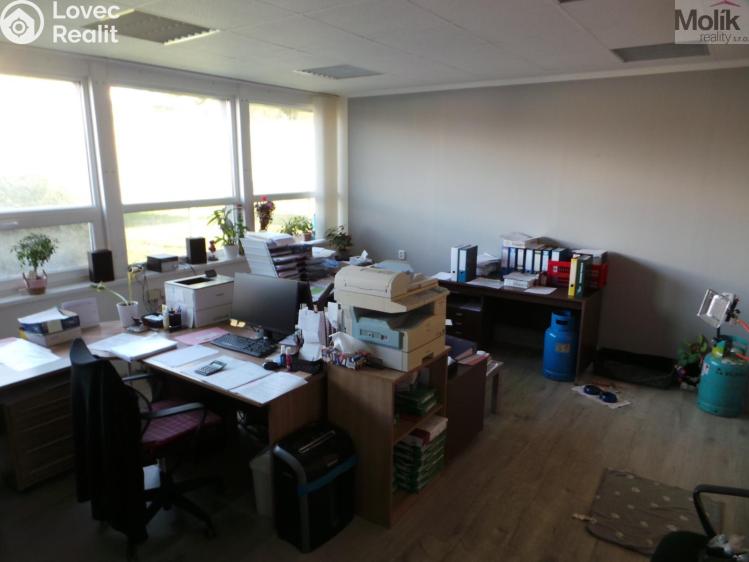 Rent office space Most, Obchodní č. 2
