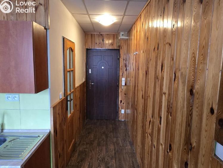 Rent apartment 1+1 Litvínov, Tylova č. 4