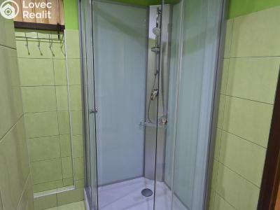 Rent apartment 1+1 Litvínov, Tylova č. 3
