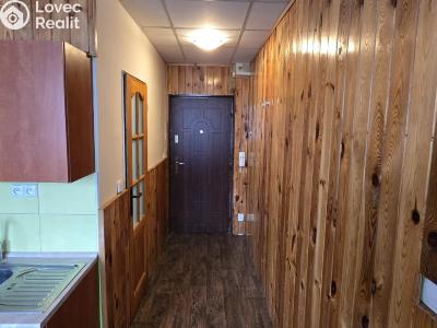 Rent apartment 1+1 Litvínov, Tylova č. 4