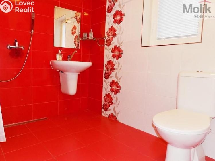 Prodej ubytovacího zařízení Lobendava č. 12