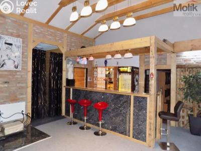 Prodej ubytovacího zařízení Lobendava č. 1