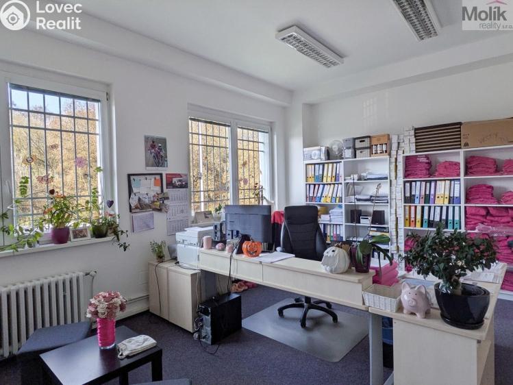 Rent office space Teplice, Novosedlická 2888 č. 4