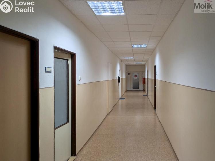 Rent office space Teplice, Novosedlická 2888 č. 17