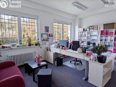 Rent office space Teplice, Novosedlická 2888 č. 1